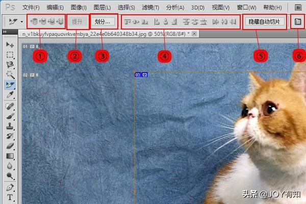 ps中的切片工具怎么用？ps用戶切片和自動切片的區別是什么？