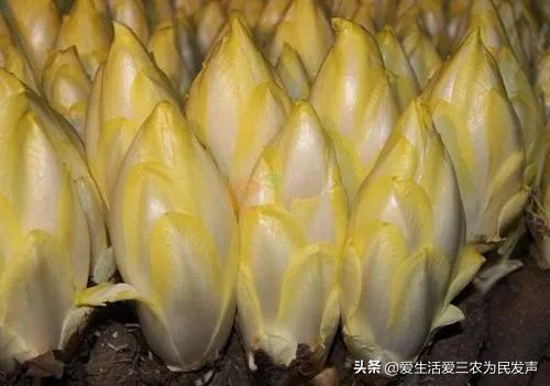 投資致富的項目有哪些？一年四季不愁銷路的小本生意推薦