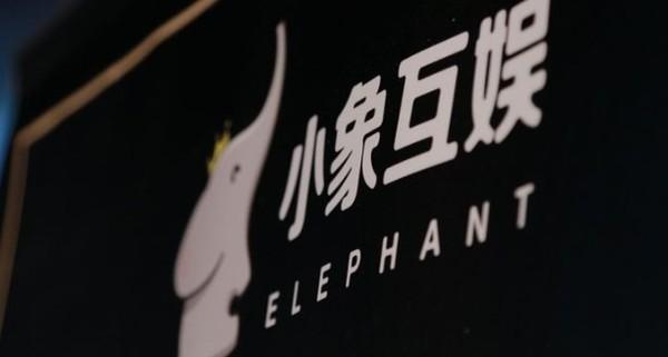 小象互娛老板是誰？小象互娛最大股東個人簡介