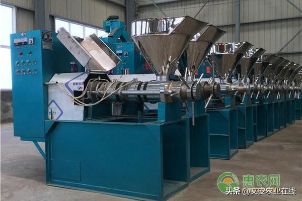 榨油機(jī)器全自動多少錢一套？2020不同品種榨油機(jī)械報價大全