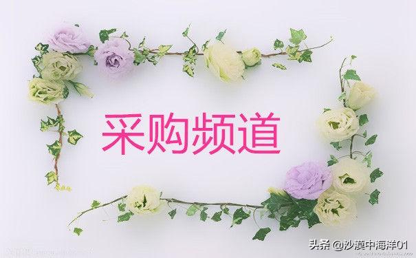 天貓企業(yè)購現(xiàn)在在哪里進(jìn)入？天貓商家介入企業(yè)購的流程方式介紹