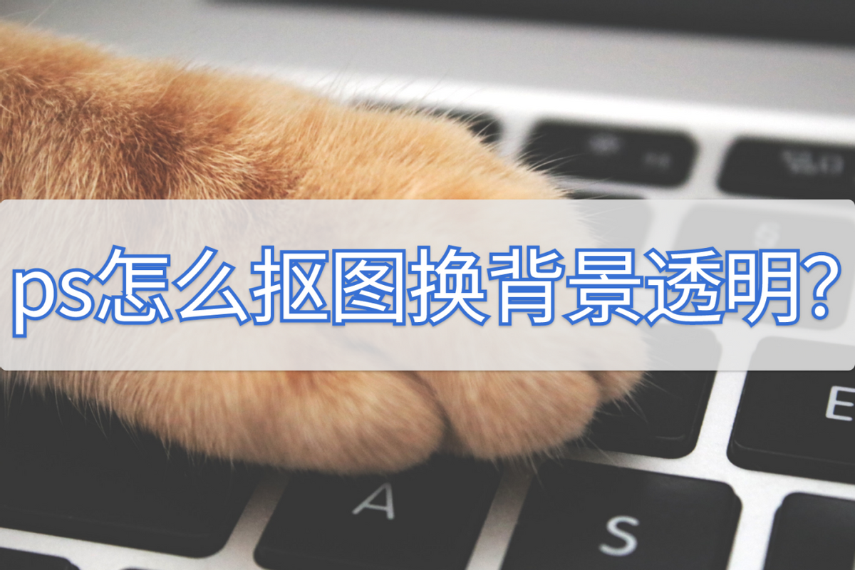 ps怎么摳圖換背景透明？教你用photoshop制作背景透明圖的方法
