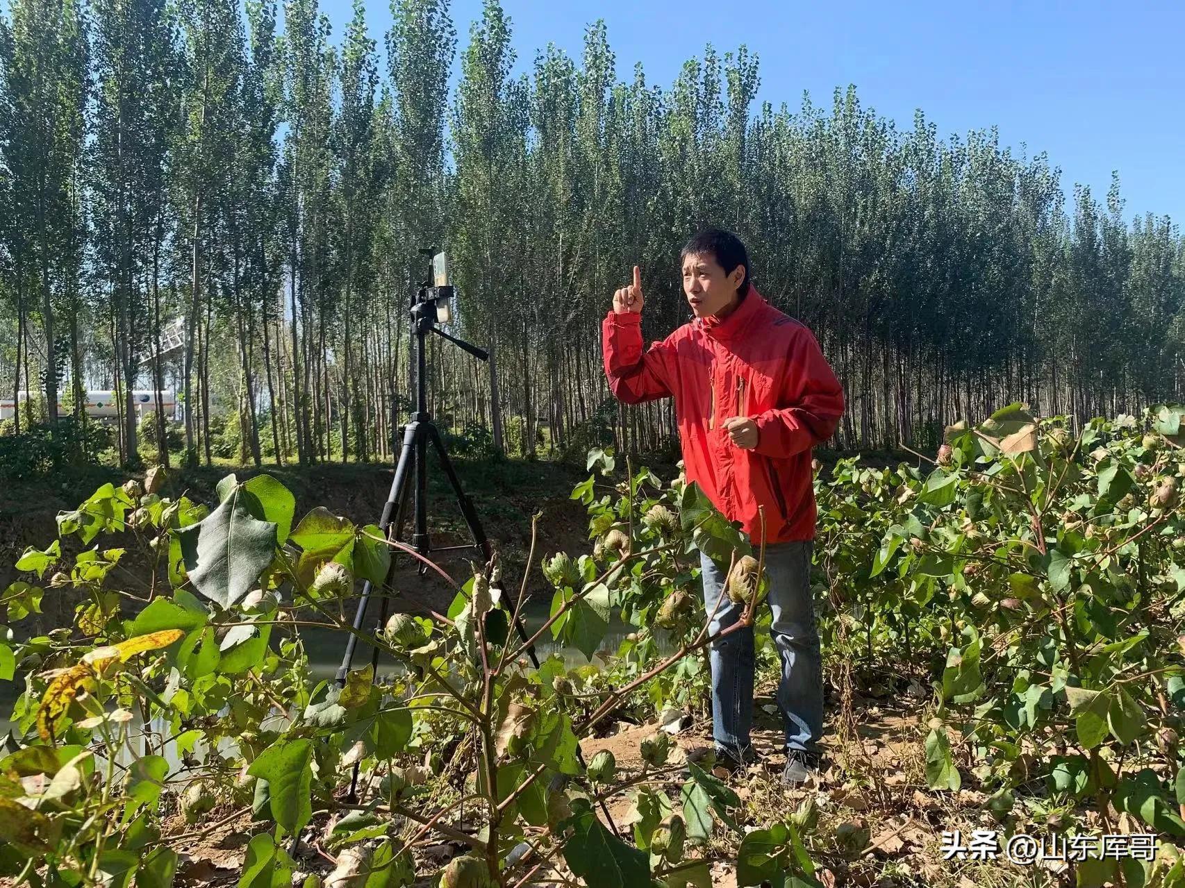 直播聊天話題技巧是什么？新人直播吸引人氣的話術(shù)和互動話題介紹