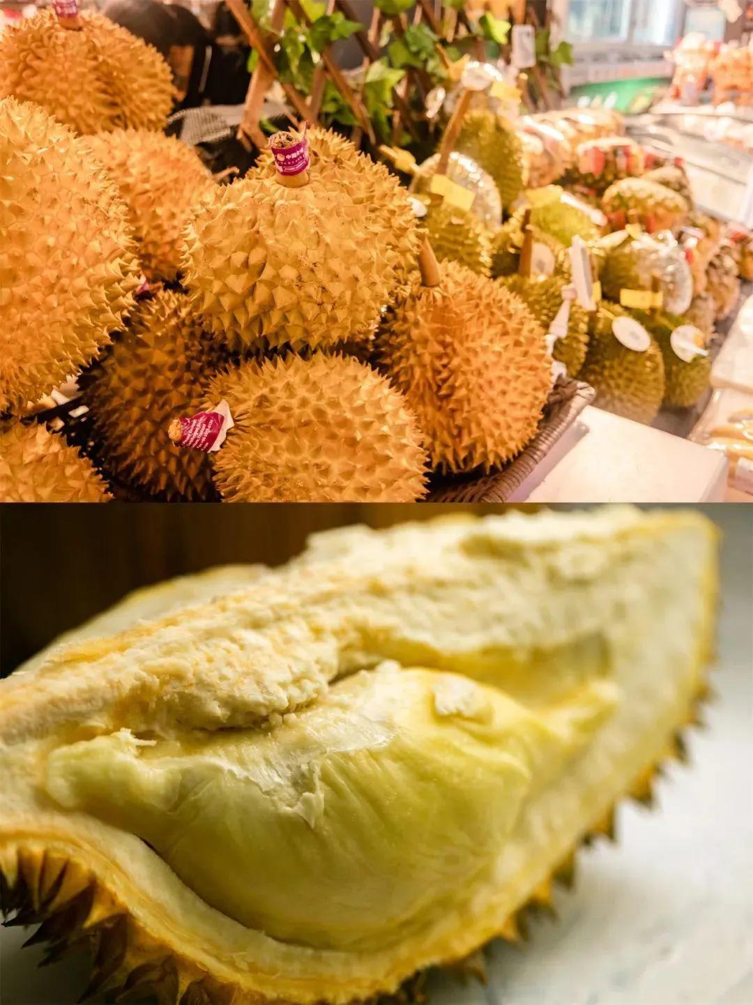 新致富項(xiàng)目種植（2023年不愁銷路的種植模式推薦）