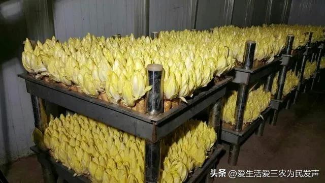 小資金創(chuàng)業(yè)好項(xiàng)目有哪些？推薦幾個(gè)投資小見效快的好項(xiàng)目