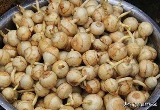 農(nóng)村土特產(chǎn)有哪些？農(nóng)村家鄉(xiāng)土特產(chǎn)一般賣什么品種？