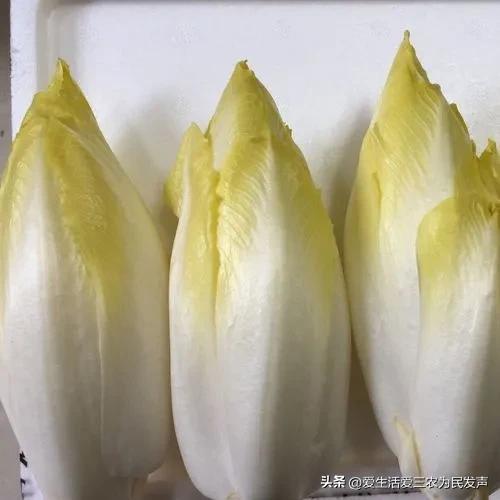 投資致富的項目有哪些？一年四季不愁銷路的小本生意推薦