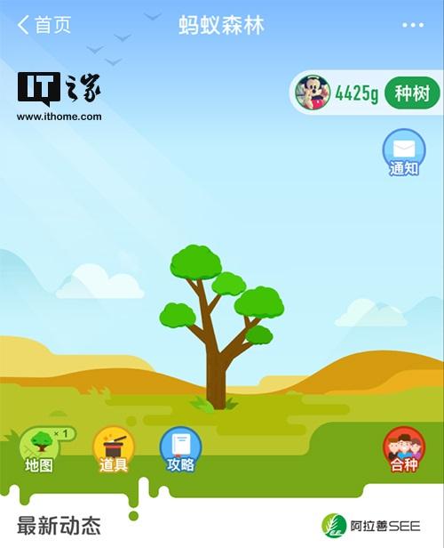 螞蟻森林合種和自己種有什么區別？解析螞蟻森林合種樹的六個階段
