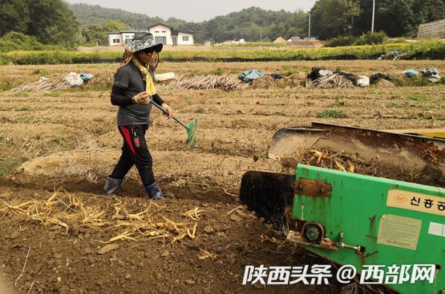 京東全球購(gòu)是正品嗎?京東全球購(gòu)化妝品鑒別正品十大技巧
