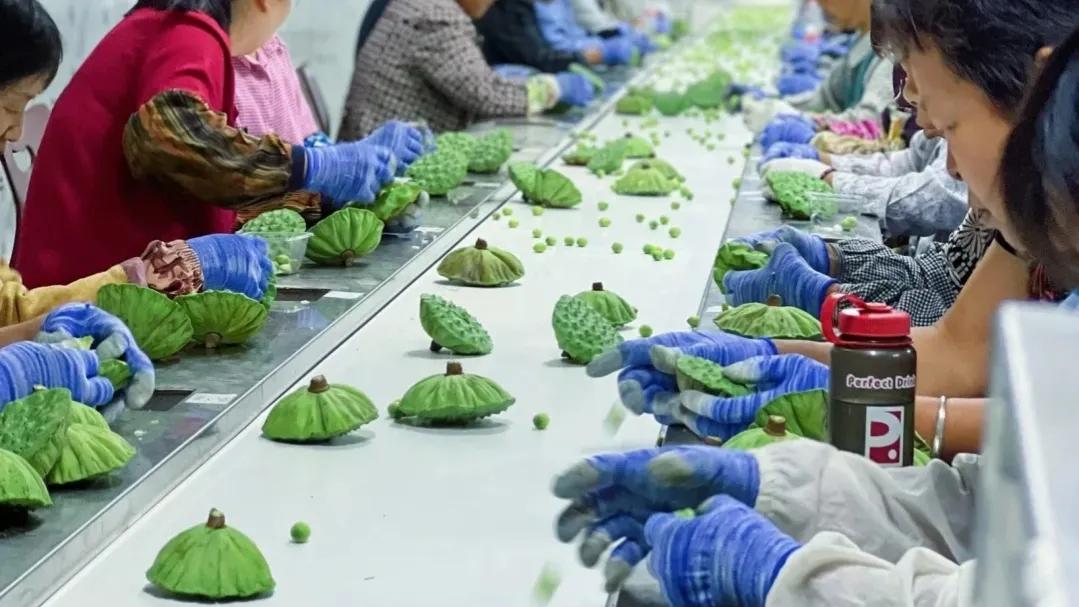 農村辦廠致富項目有哪些？30個適合農村投資的項目推薦