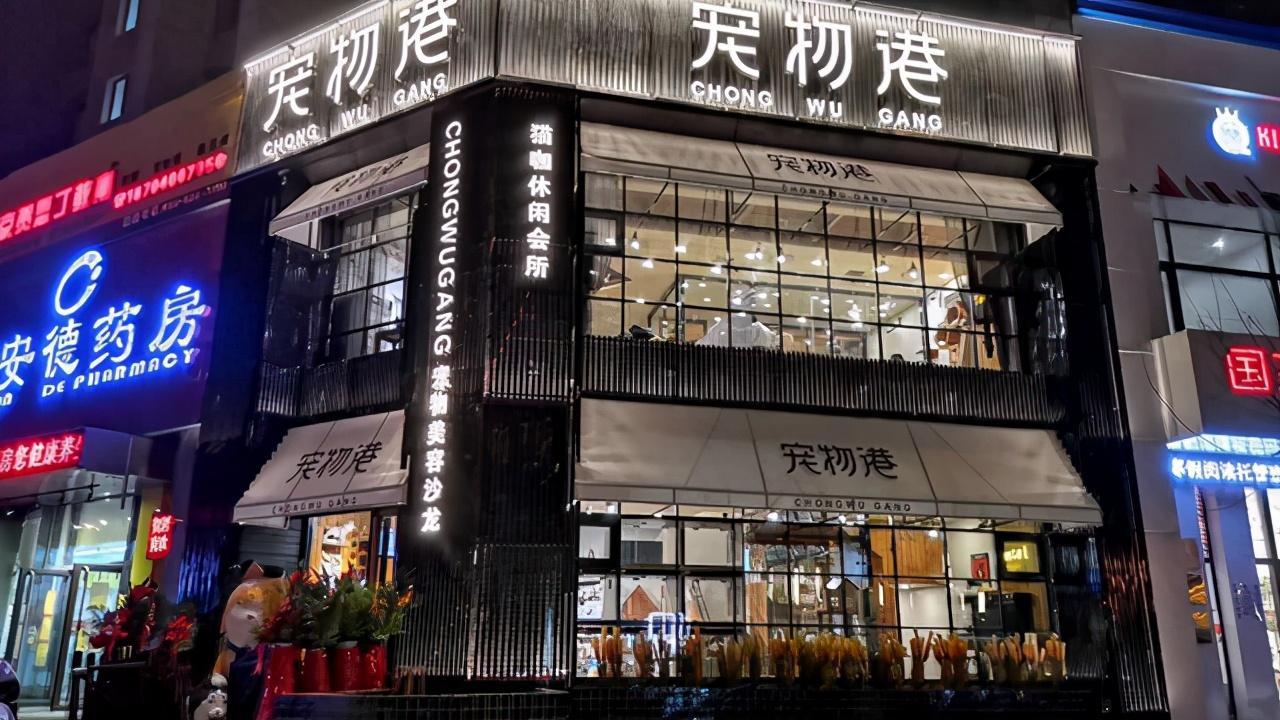 寵物店加盟大概要多少錢？寵物加盟店排行榜加盟10大品牌推薦