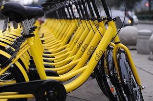 小黃車創始人個人簡介（小黃車ceo戴威的發展現狀及創業路程）