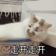 飛豬搶票成功率高嗎？候補票是沒放票還是賣完了？