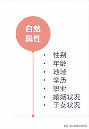 用戶畫像怎么做？不同角度詳細介紹用戶畫像的建立方法