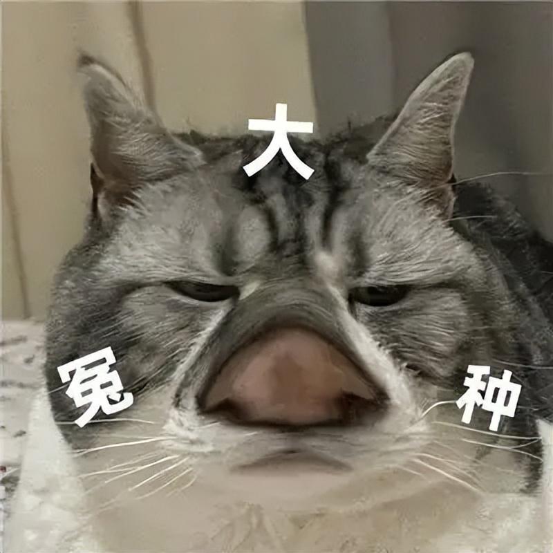 淘客訂單查詢工具在哪？淘寶聯盟訂單查詢的詳細教程分享