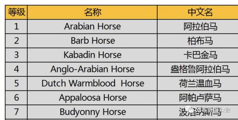 超級賽馬場游戲攻略（分享超級大馬游戲規則）