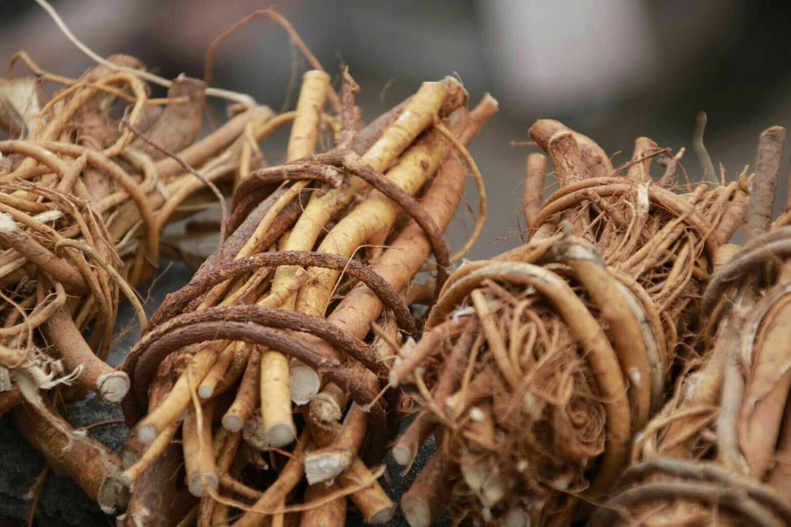 農村種植賺錢好項目有哪些？農村致富賺錢好項目排行榜前十