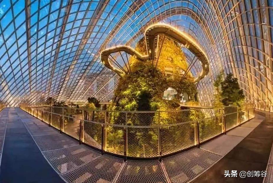 農(nóng)業(yè)創(chuàng)業(yè)項目計劃書（現(xiàn)代農(nóng)業(yè)項目計劃書模板大全）