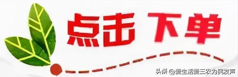 縣城冷門暴利生意有哪些？農村十大冷門暴利生意排行榜