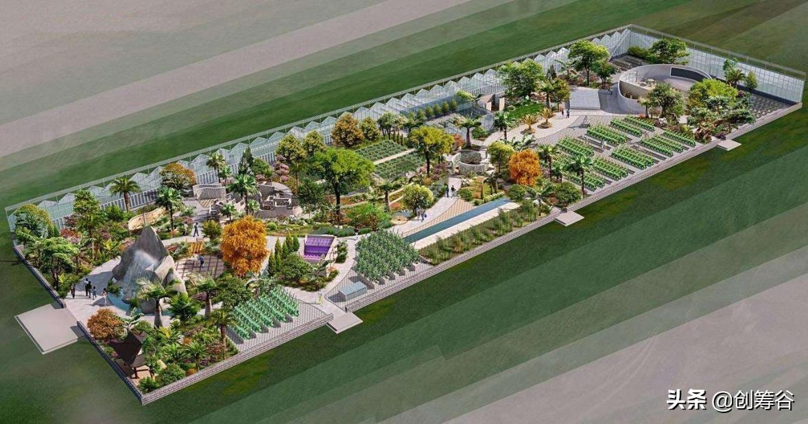 農(nóng)業(yè)創(chuàng)業(yè)項目計劃書（現(xiàn)代農(nóng)業(yè)項目計劃書模板大全）