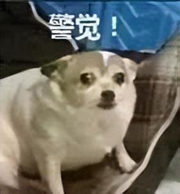怎么關閉京東金條功能？關閉京東金條會有什么影響