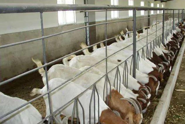 農(nóng)村最稀缺的行業(yè)有哪些？最具有前景的十大行業(yè)推薦