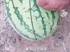 直播翻車是什么意思？直播中商品掉車是什么意思？