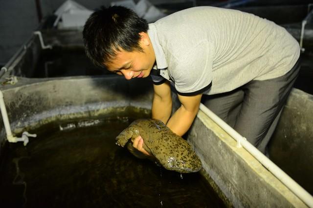 農村的養殖業什么最掙錢？適合農村家庭養殖項目排行榜前十