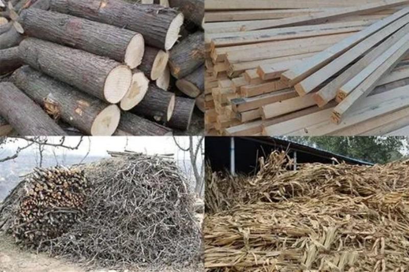 小型投資項目有哪些？十大創業小型加工廠項目推薦