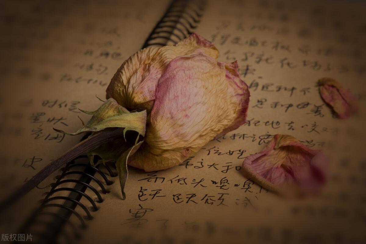 寫小說賺錢哪個平臺好？新手寫小說轉稿費的平臺排名前十