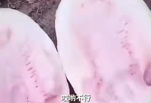 直播翻車是什么意思？直播中商品掉車是什么意思？