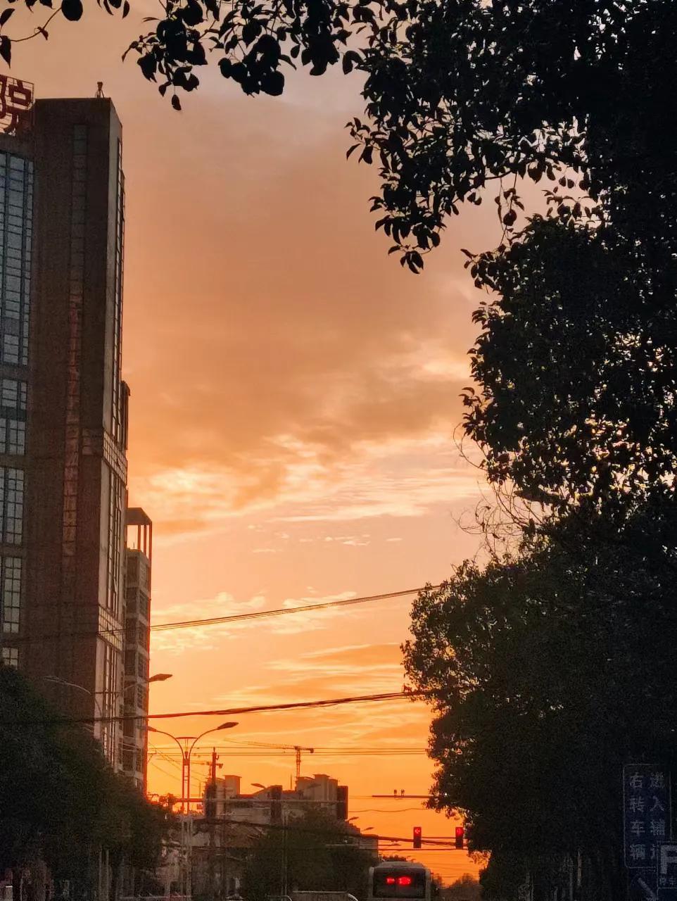 區(qū)域代理是什么意思？成為區(qū)域代理的流程及條件