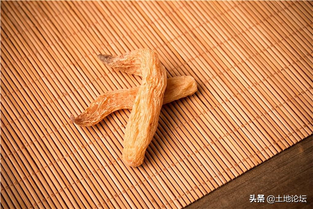 種植什么藥材掙錢多？種植藥材創(chuàng)業(yè)項目有哪些？