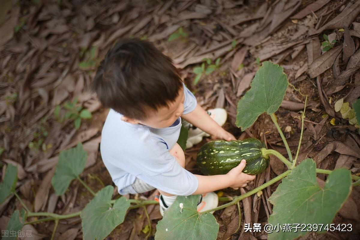 在家創業的項目有哪些？2023適合寶媽在家創業新項目推薦