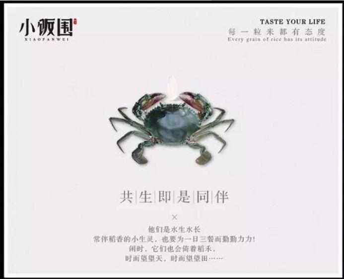 產(chǎn)品賣點(diǎn)文案怎么寫?分享產(chǎn)品推廣的十大賣點(diǎn)文案