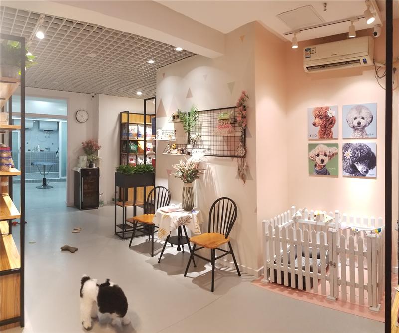 寵物用品進貨批發網（解析開寵物店的優勢和劣勢）