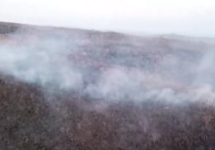 亞馬遜大火燒了幾個月？簡述亞馬遜大火事件