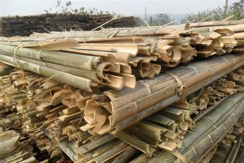 小型投資項目有哪些？十大創業小型加工廠項目推薦