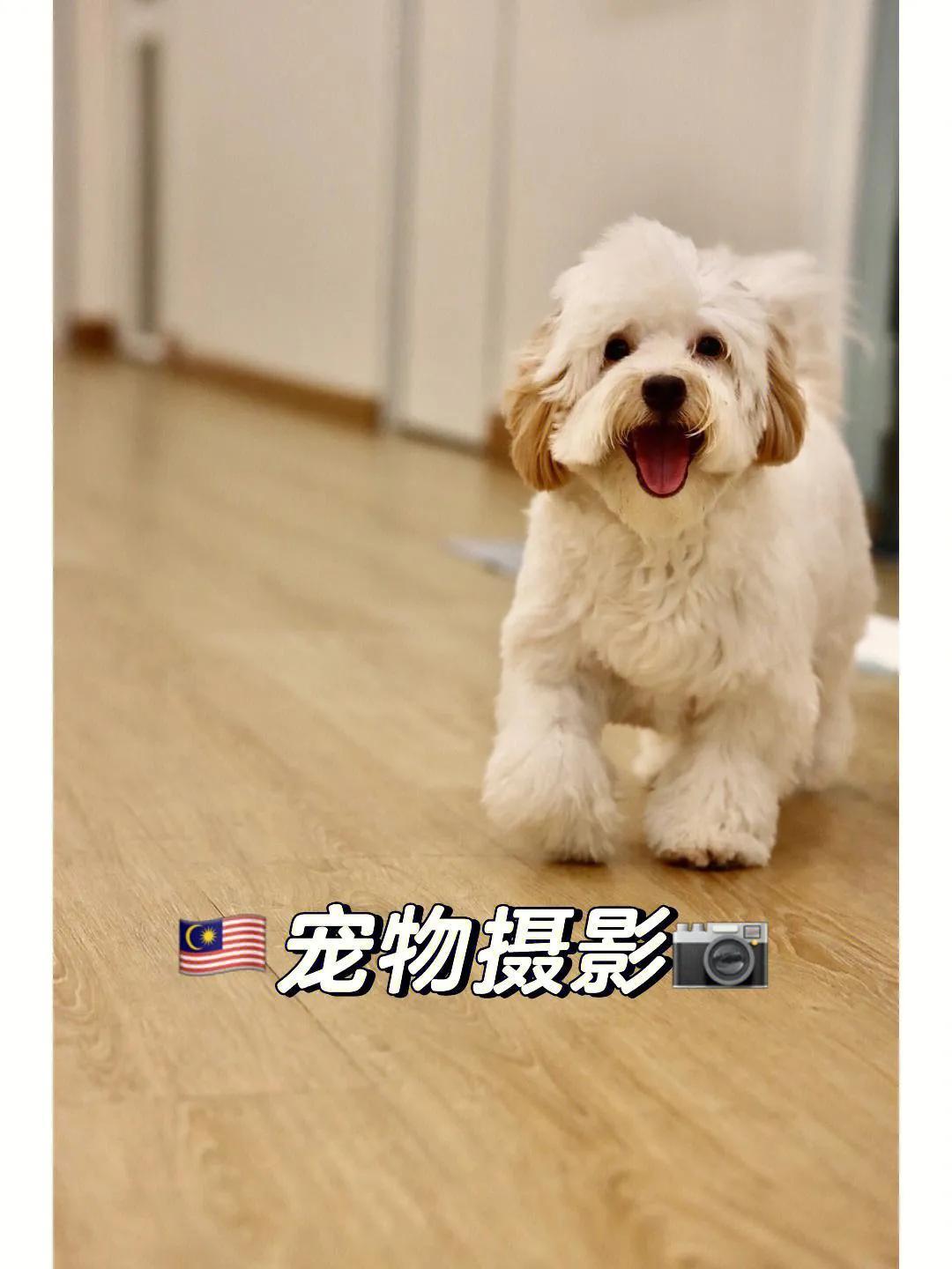 個人小成本創業項目有哪些？20個低成本創業項目推薦