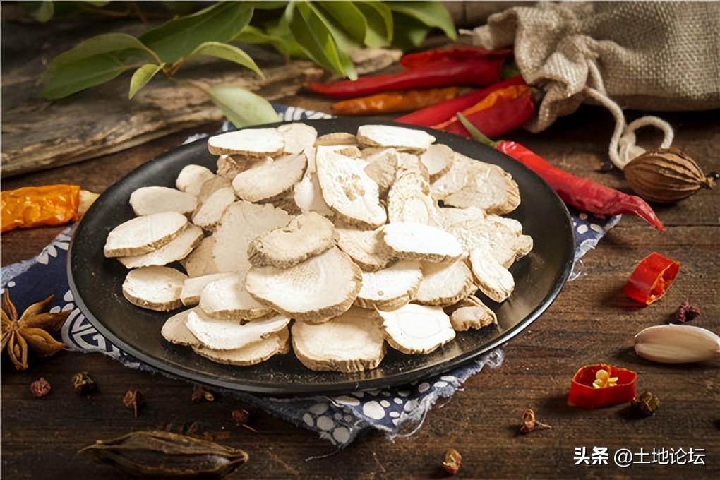 種植什么藥材掙錢多？種植藥材創(chuàng)業(yè)項目有哪些？