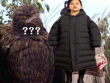 拼多多買家秀在哪看？拼多多買家秀合集入口