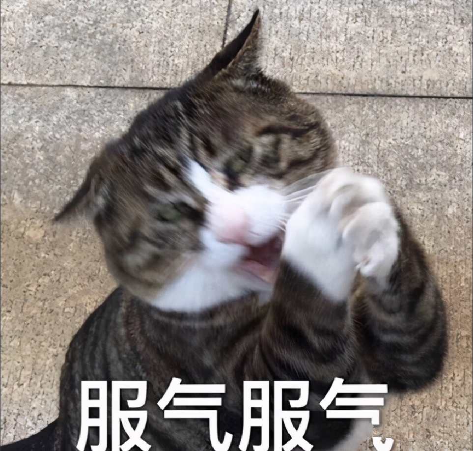 短視頻軟件排行榜前十名（新手做短視頻十大技巧分享）