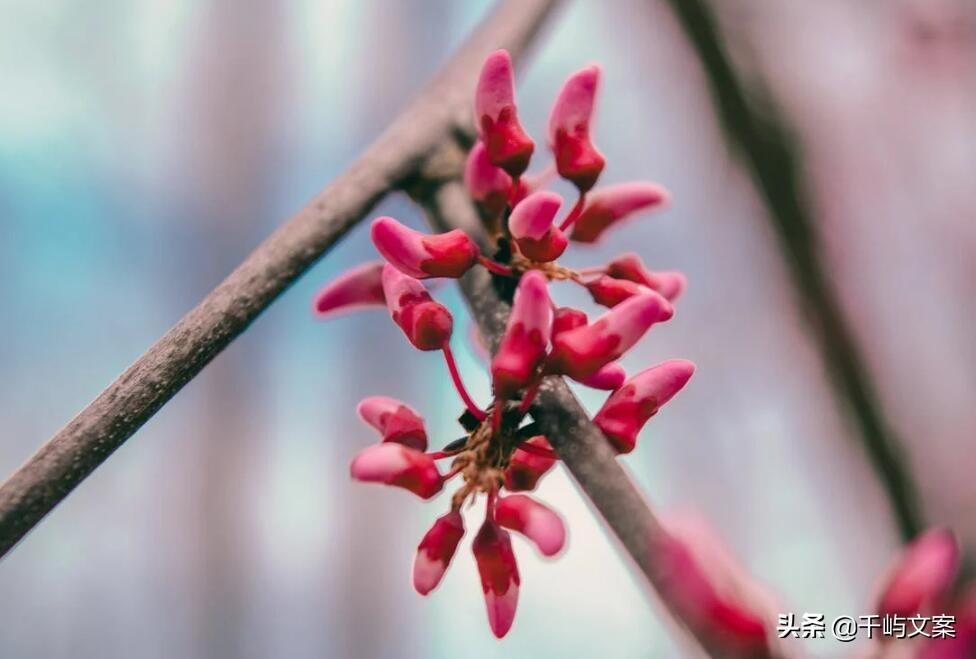 淘寶賬號(hào)名字大全（2023淘寶簡(jiǎn)短好聽昵稱大全）