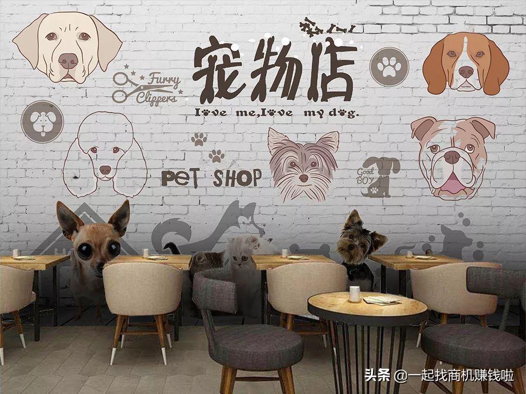 寵物店賺錢嗎？新手小白開寵物店需要具備什么條件？