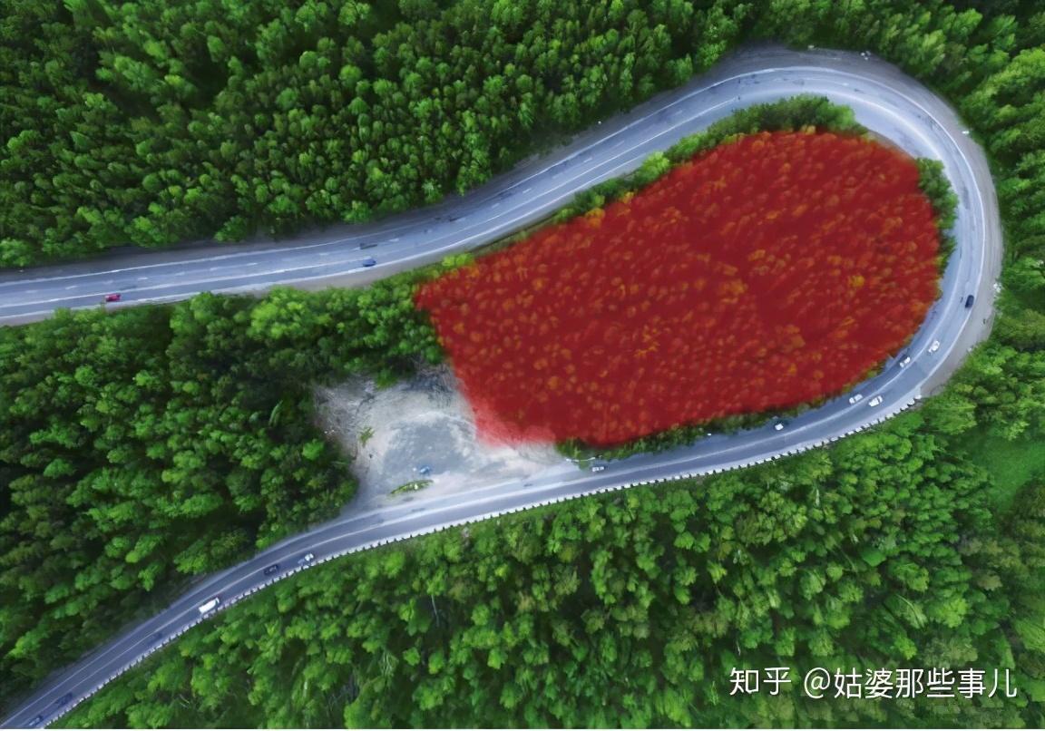 添加圖層蒙版怎么用？解析ps圖層蒙版的作用