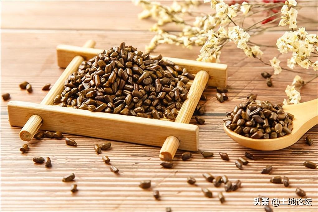 種植什么藥材掙錢多？種植藥材創(chuàng)業(yè)項目有哪些？