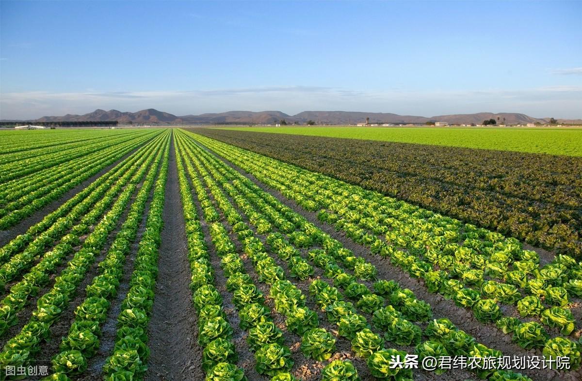 農村種植項目申請書怎么寫?分享農村種植申請書范文模板大全
