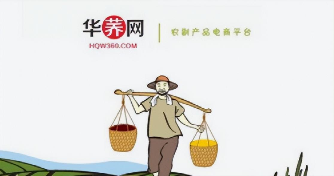 十大農(nóng)產(chǎn)品電商平臺有哪些？國內(nèi)十大農(nóng)產(chǎn)品電商平臺排行榜