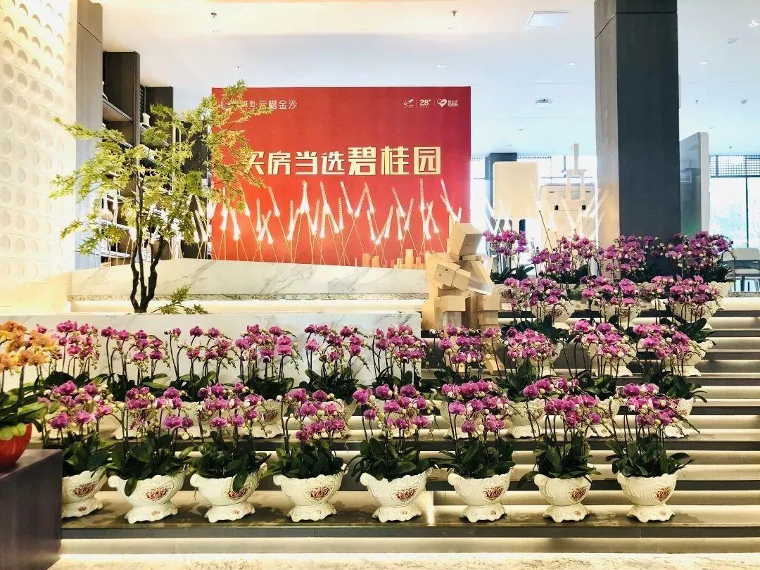 訂單核銷碼是什么意思？淘寶訂單核銷碼查看流程及步驟