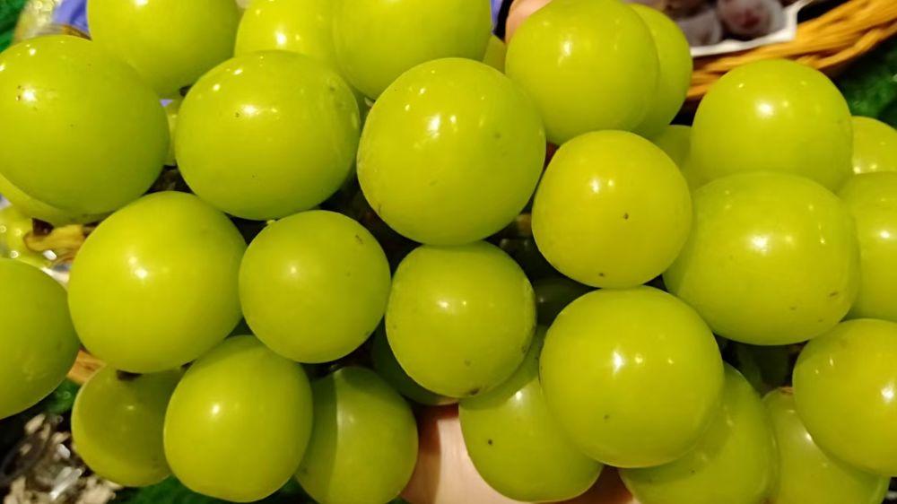 水果攤怎么擺吸引顧客？分享新手擺攤三大禁忌